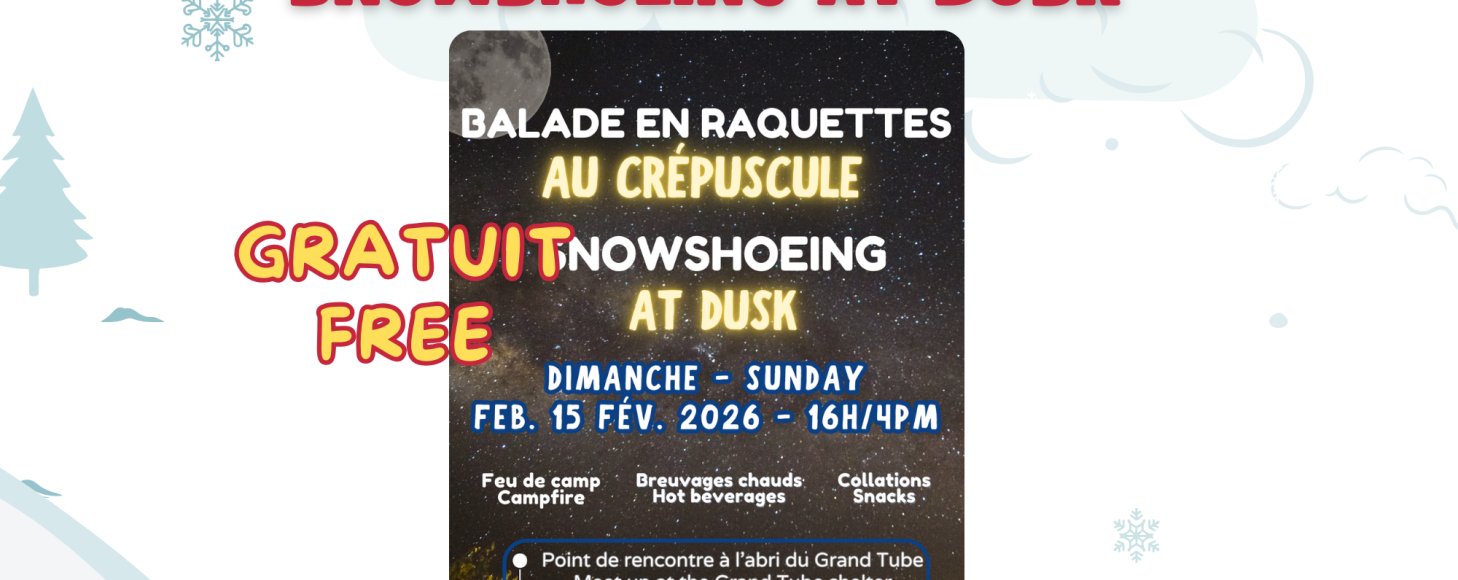 Frosty Weekend: Snowshoeing At Dusk